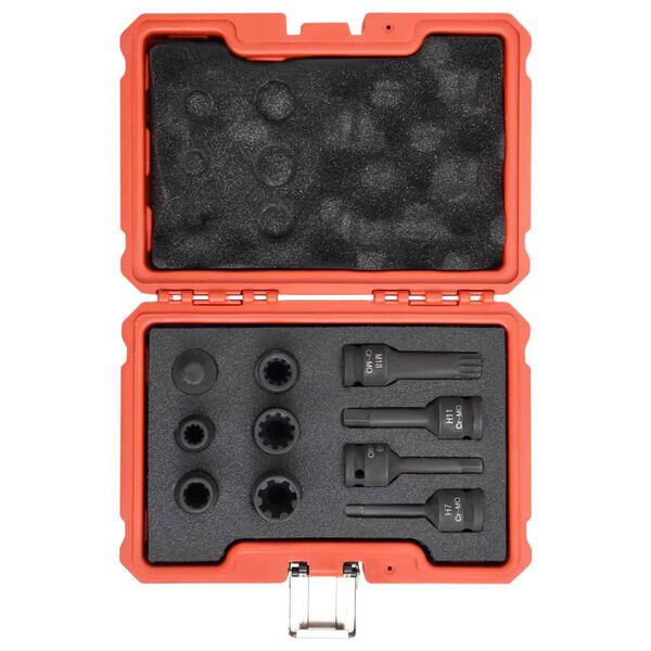 vidaXL Set di Chiavi per Autoveicoli 10 pz per Benz/BMW/Audi/Porsche