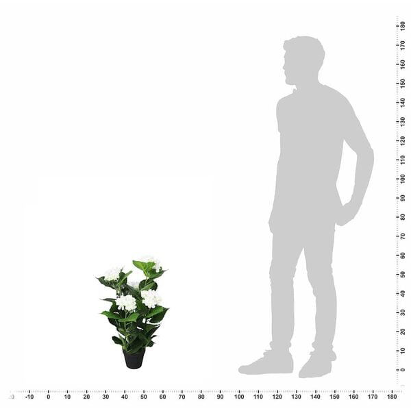 Visualizzazione immagine prodotto 3 di 3