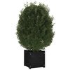 vidaXL Fioriere da Giardino 2pz Nere 40x40x40cm Legno Massello di Pino