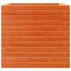 vidaXL Fioriera Giardino Marrone Cera 50x50x45,5cm Legno Massello Pino