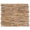 vidaXl Pannelli per Pareti 10 pz 1,01 m&sup2; in Legno Massello di Teak