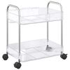 vidaXL Carrello Portaoggetti a 2 Livelli 37x28x43,5 cm in Acrilico