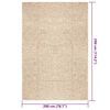 vidaXL Tappeto ZIZUR Beige 200x290 cm Aspetto Iuta Interni ed Esterni