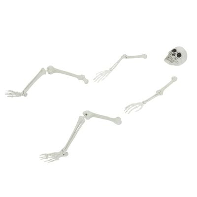Scheletro Halloween con picchetti da terra bianco 45,5 x 13 cm