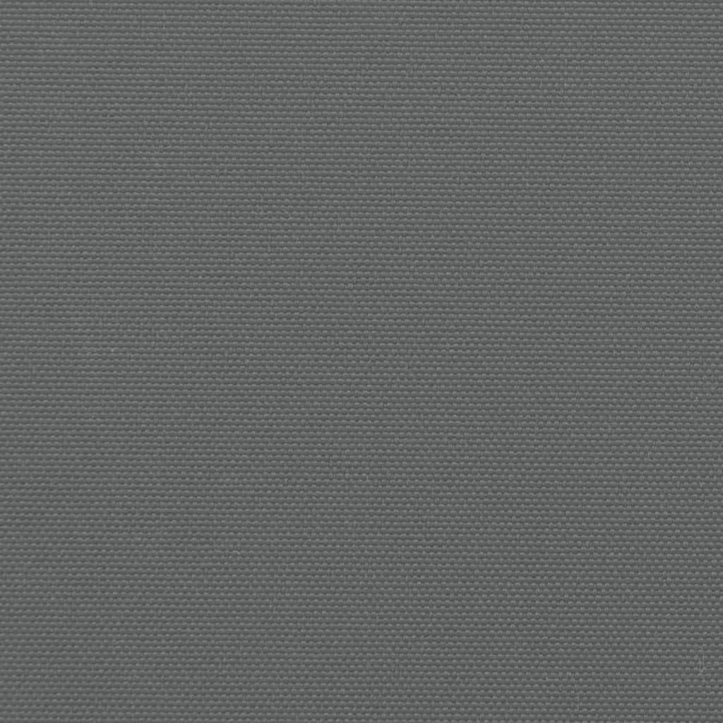 vidaXL Tenda da Sole Laterale Retrattile Antracite 200x300 cm