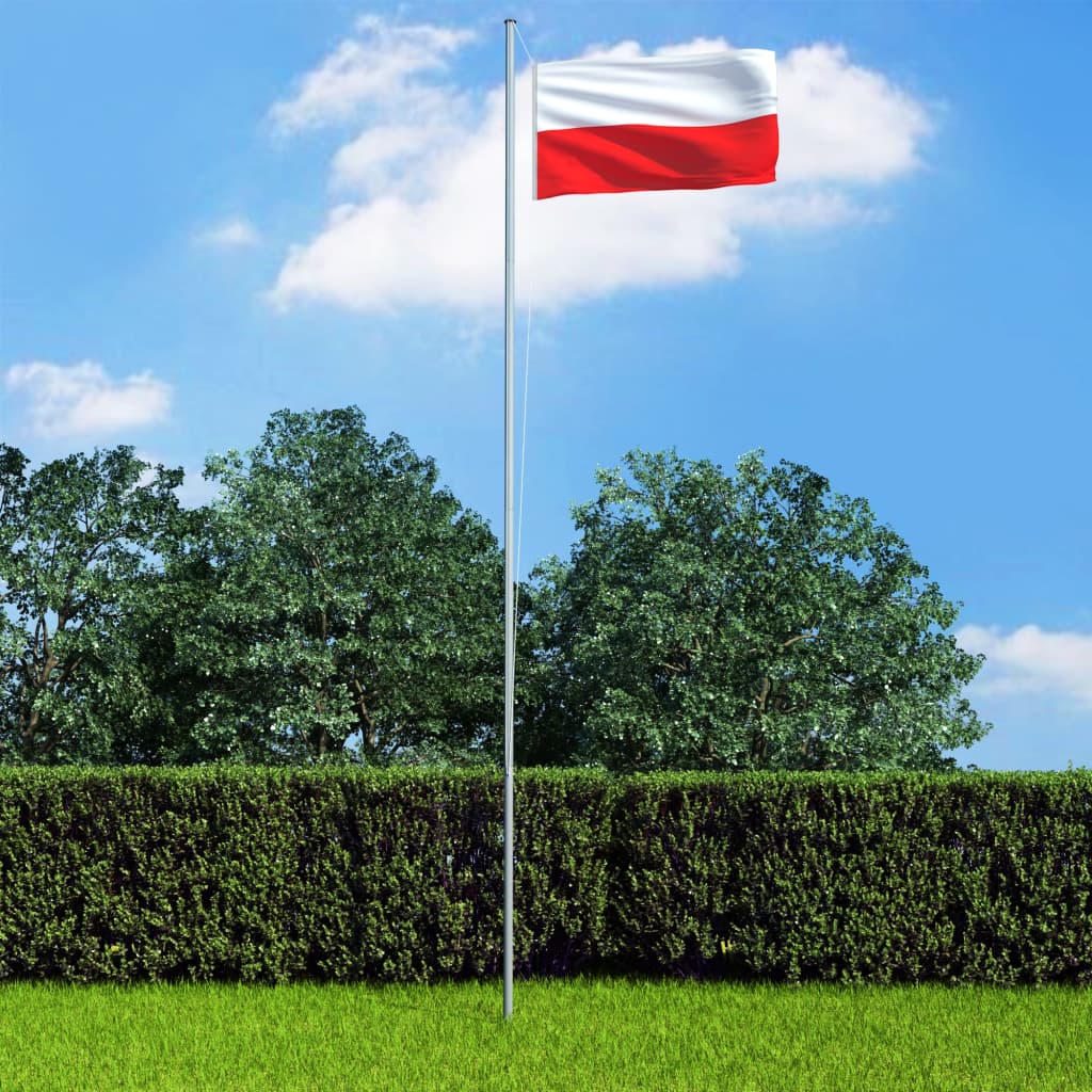 vidaXL Bandiera della Polonia con Pennone in Alluminio 4 m