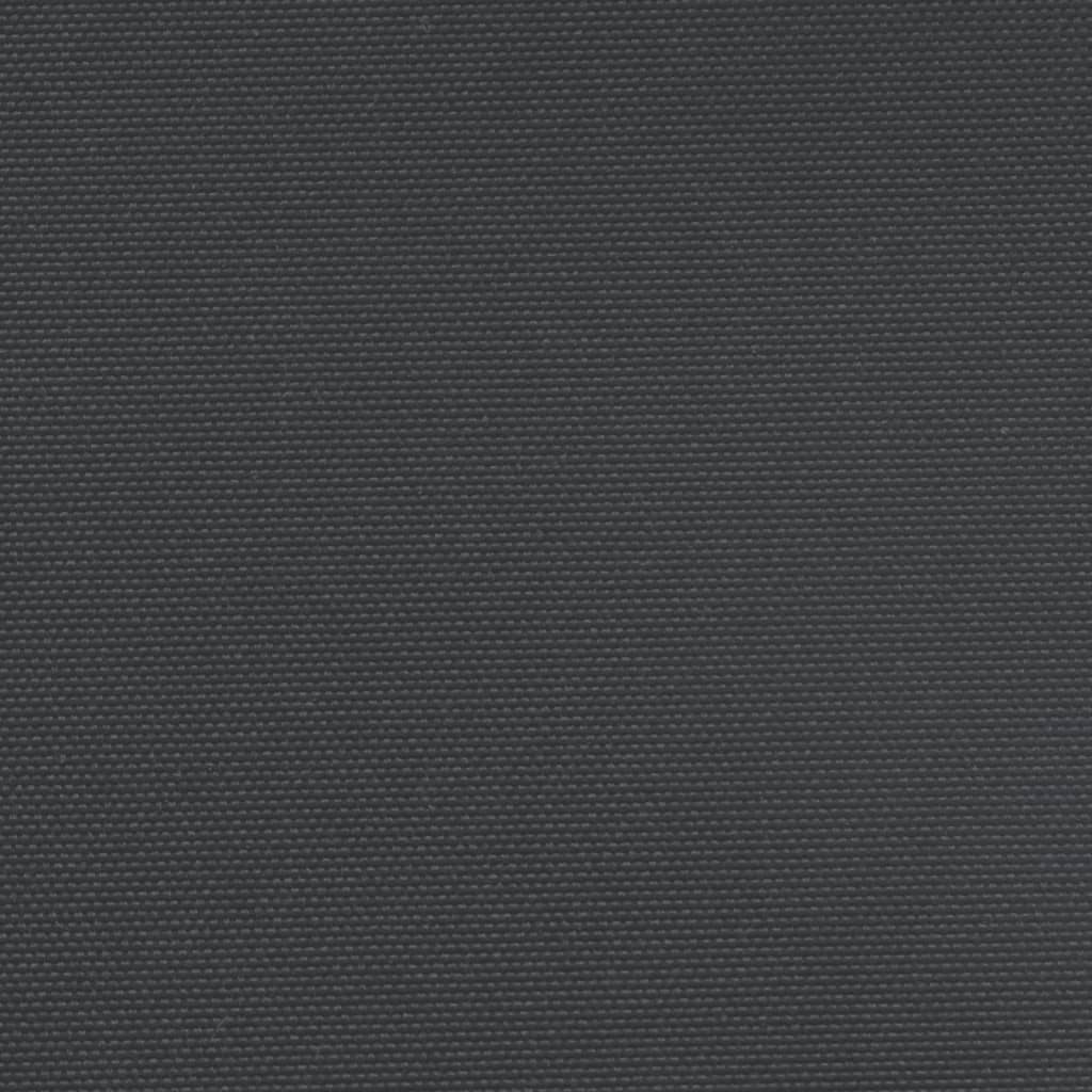 vidaXL Tenda da Sole Laterale Retrattile Nera 120x1200 cm