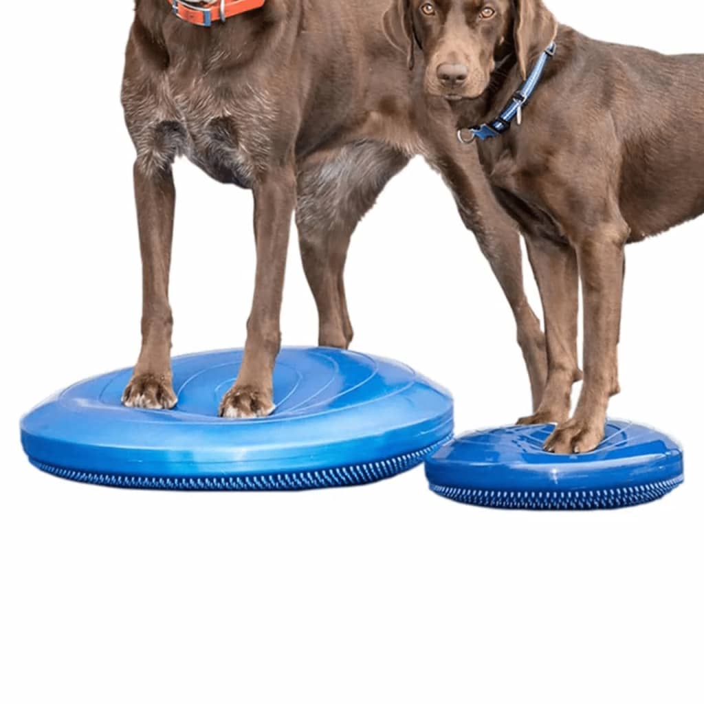 FitPAWS Disco per l'Allenamento dell'Equilibrio per Cani 36 cm Blu