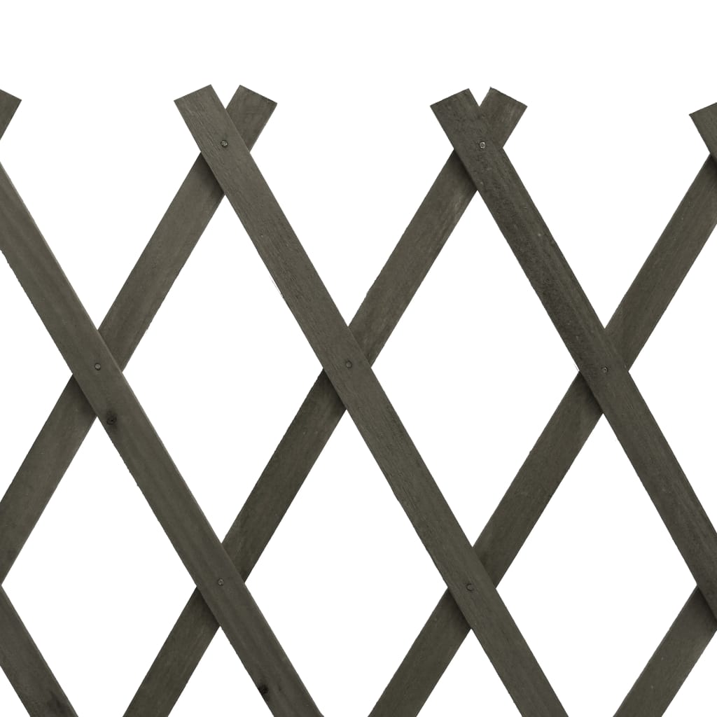 vidaXL Traliccio da Giardino Grigio 120x60 cm in Massello di Abete