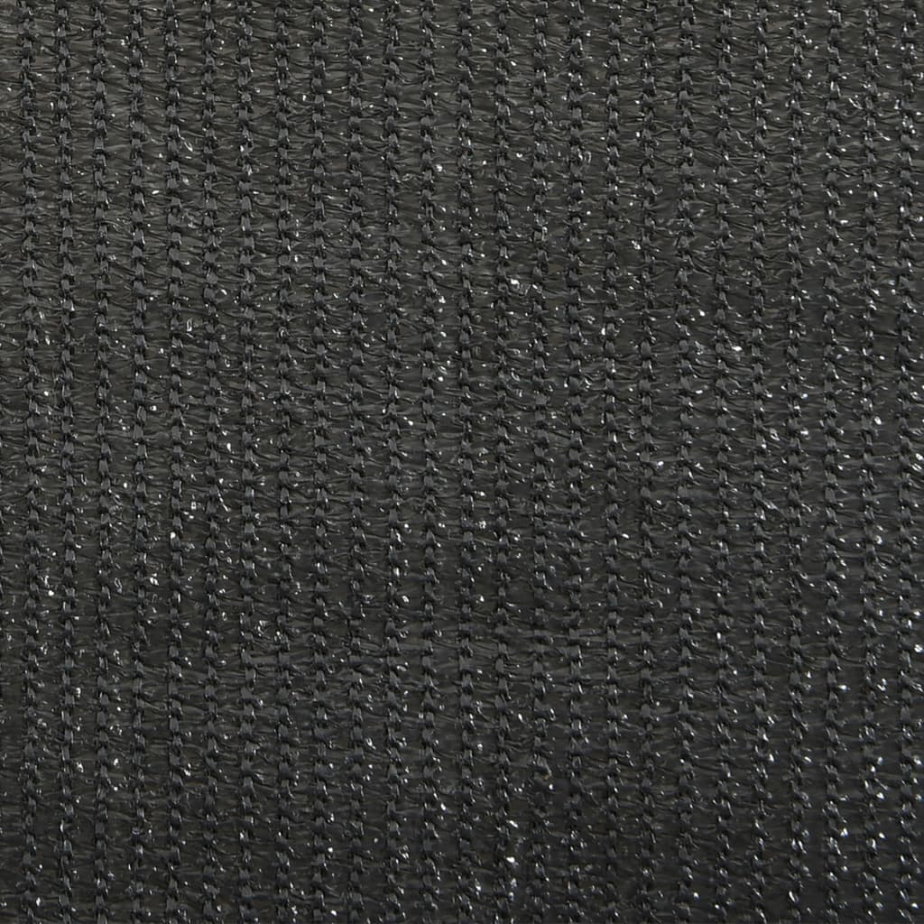 vidaXL Tenda a Rullo per Esterni 60x140 cm Antracite