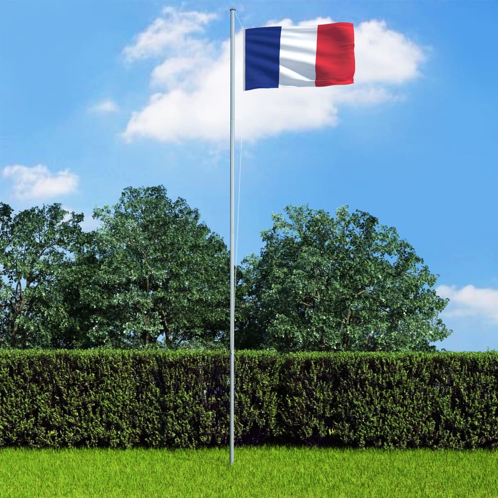 vidaXL Bandiera della Francia 90x150 cm