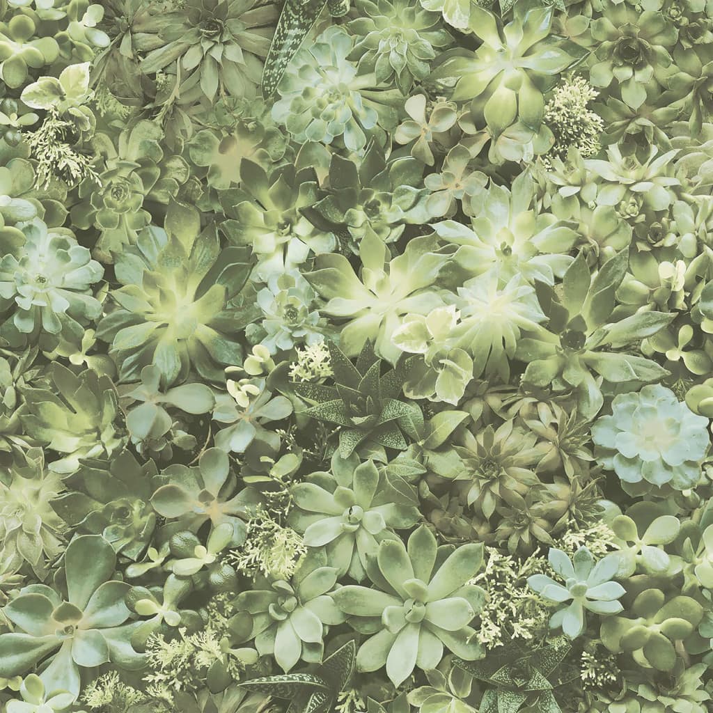 Noordwand Carta da Parati Evergreen Succulent Verde e Beige