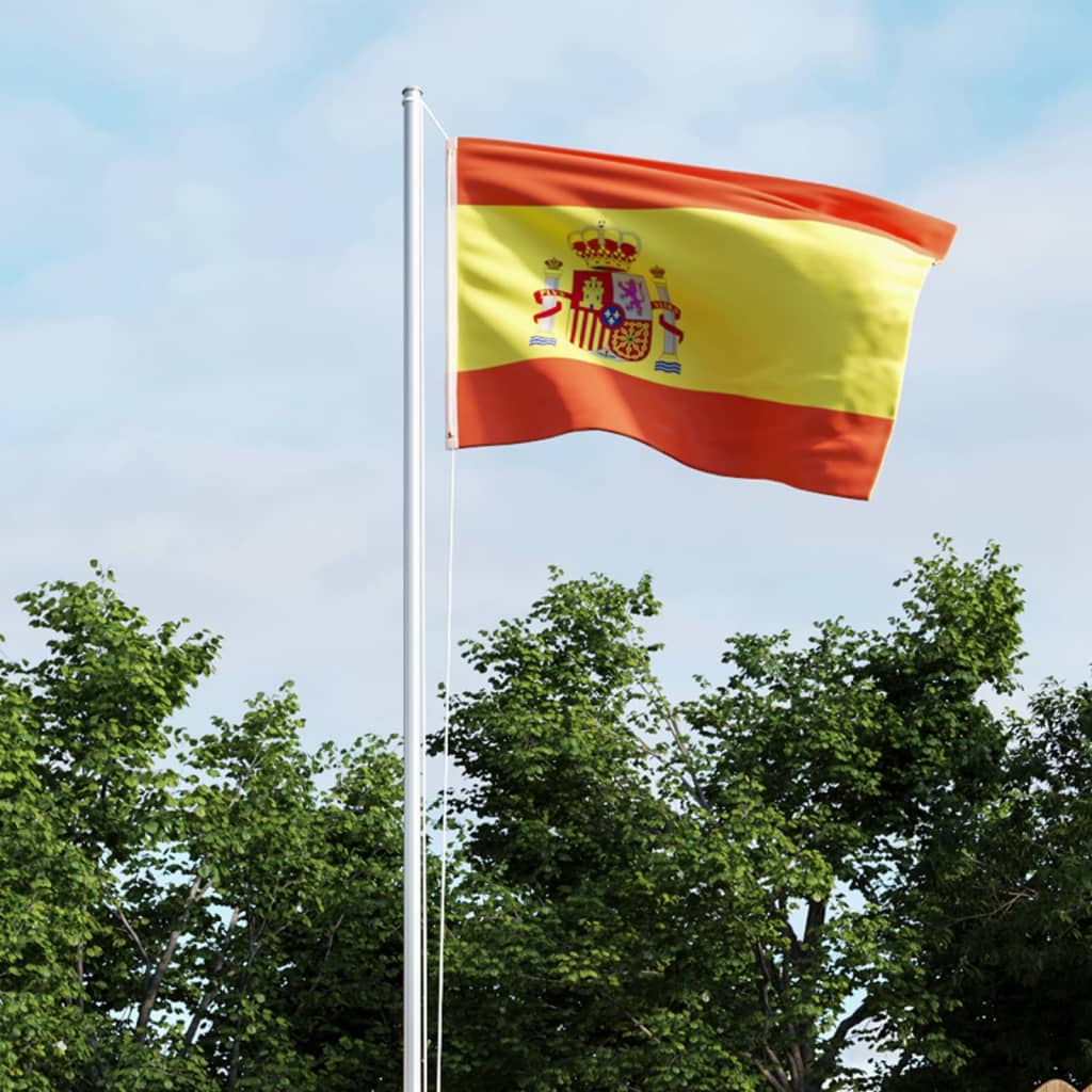 vidaXL Bandiera della Spagna con Pennone in Alluminio 6,2 m