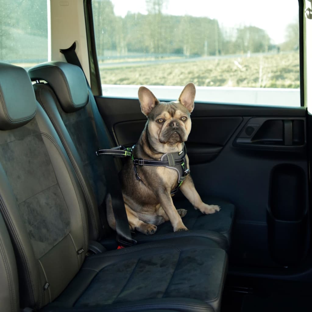 Kerbl Imbracatura di Sicurezza Auto per Animali Domestici 50-65cm Nera