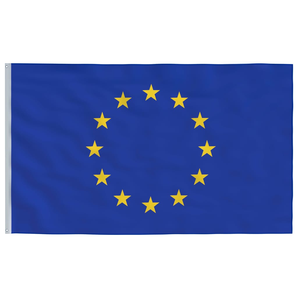 vidaXL Bandiera dell'Europa con Pennone in Alluminio 4 m