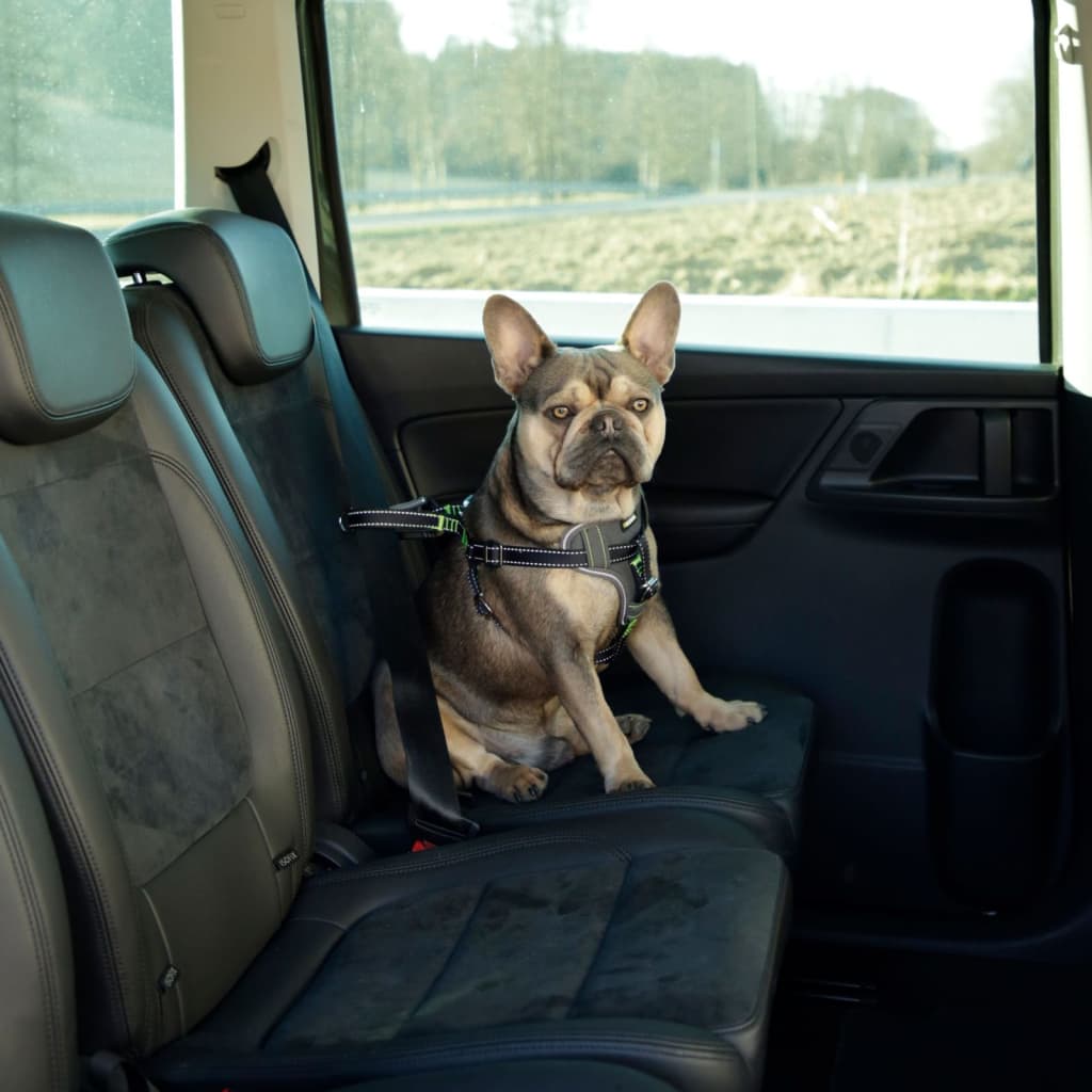 Kerbl Imbracatura di Sicurezza Auto per Animali Domestici 68-85cm Nera