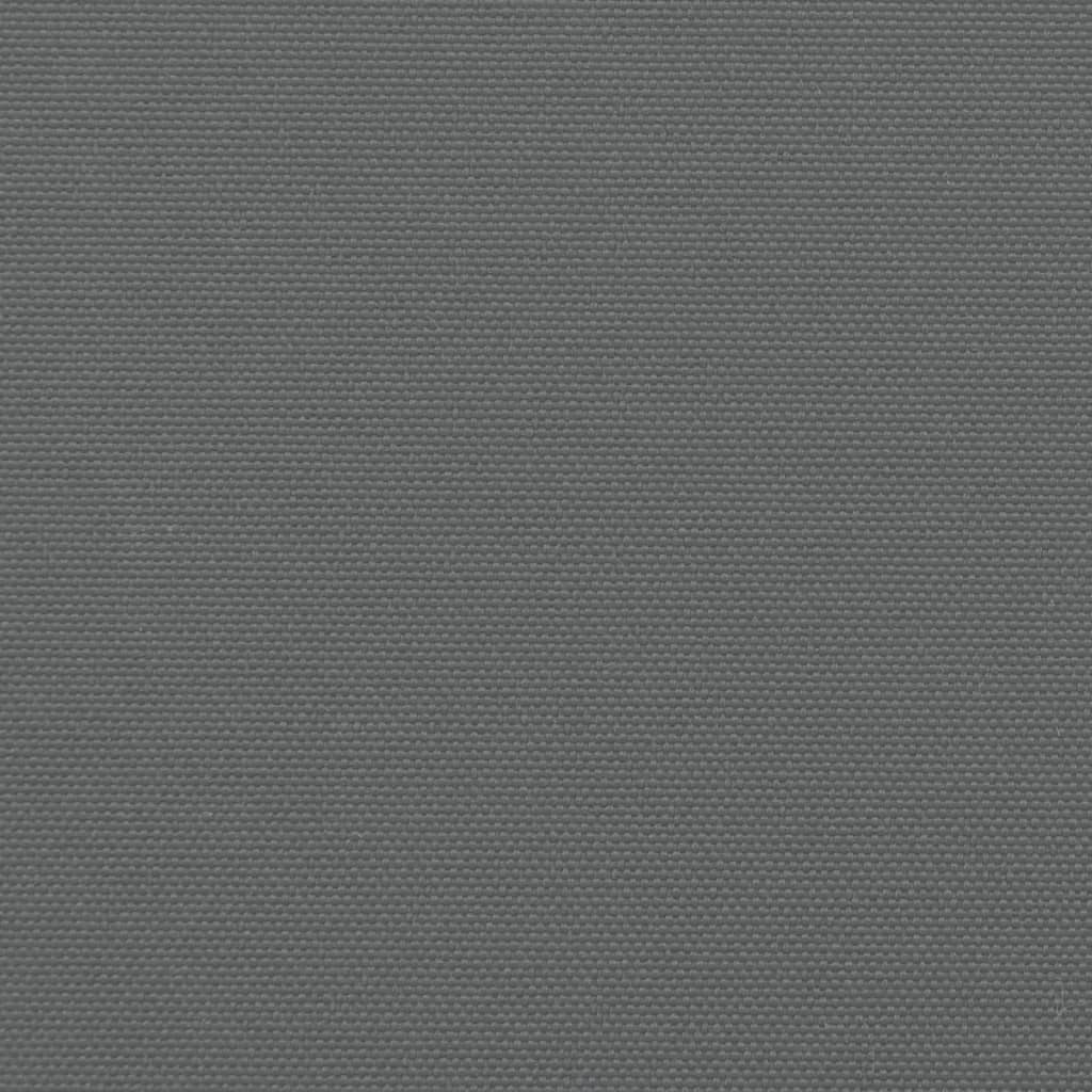 vidaXL Tenda da Sole Laterale Retrattile Antracite 180x300 cm