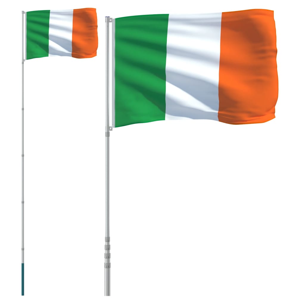 vidaXL Asta e Bandiera Irlanda 5,55 m Alluminio