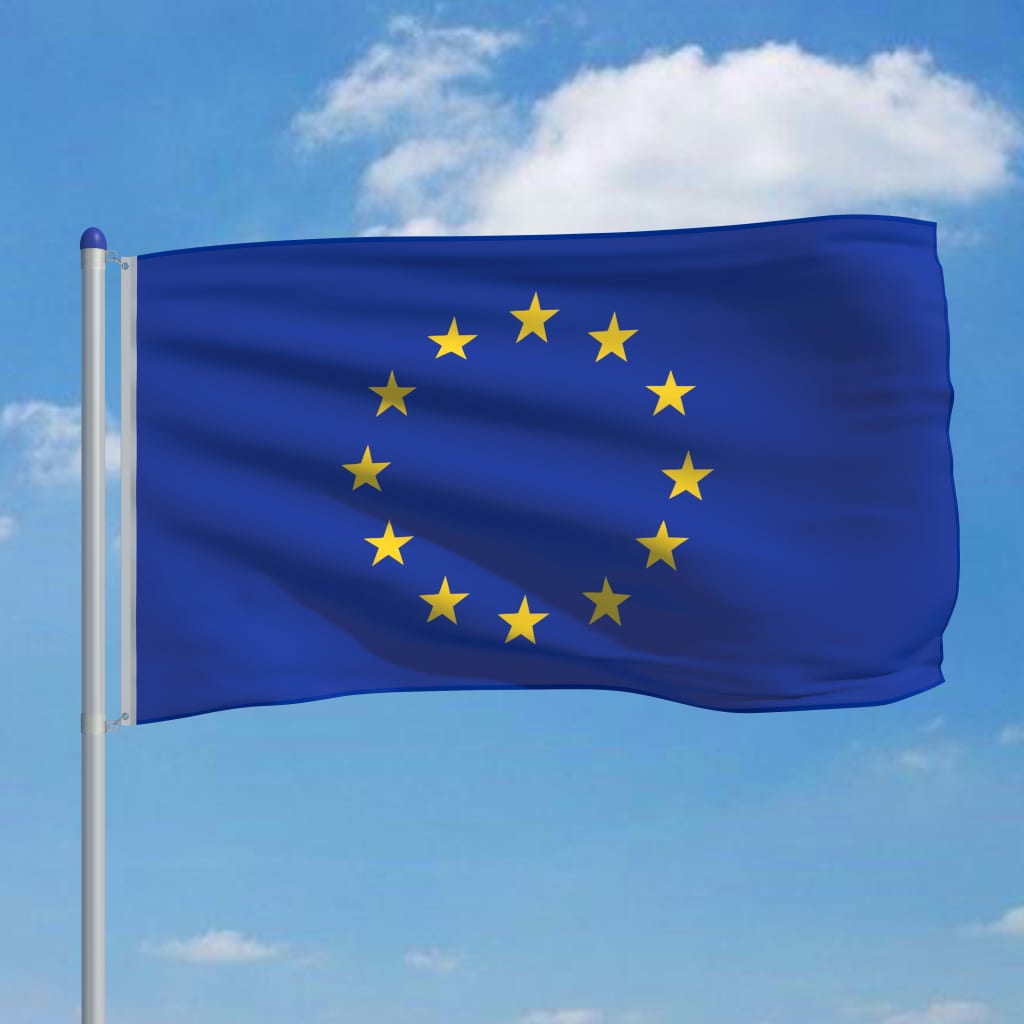 vidaXL Bandiera dell'Europa con Pennone in Alluminio 6 m