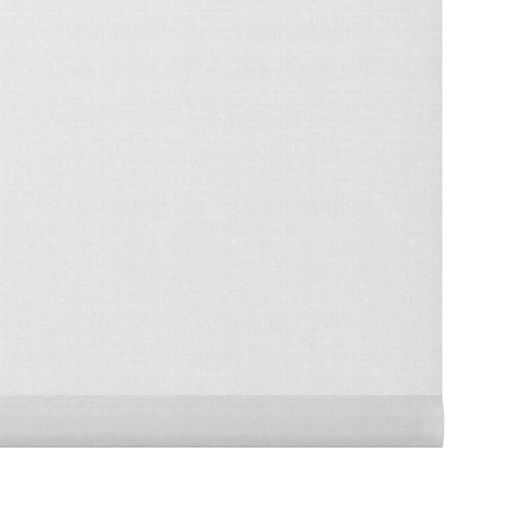Decosol Tendina a Rullo Traslucida Bianca 67x160 cm