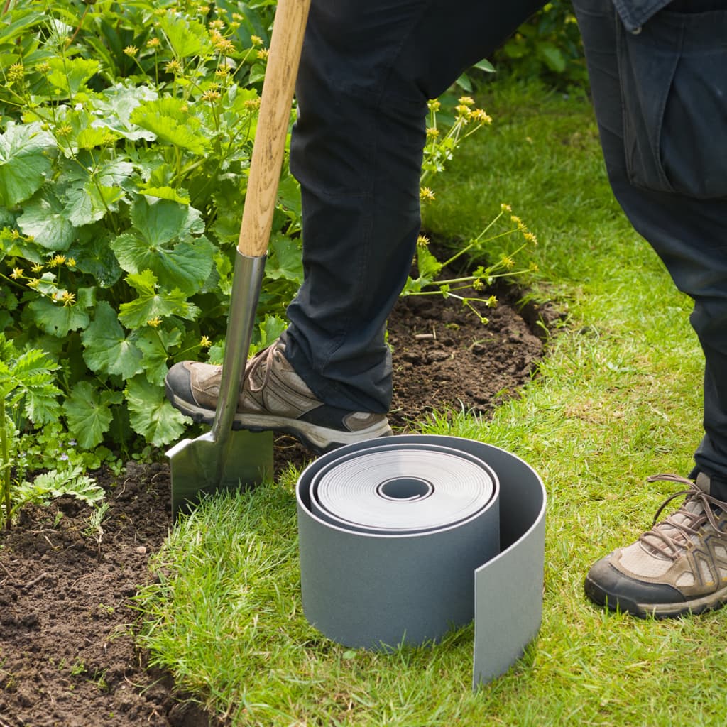 Bordure per giardino | Idee, piante consigliate e manutenzione