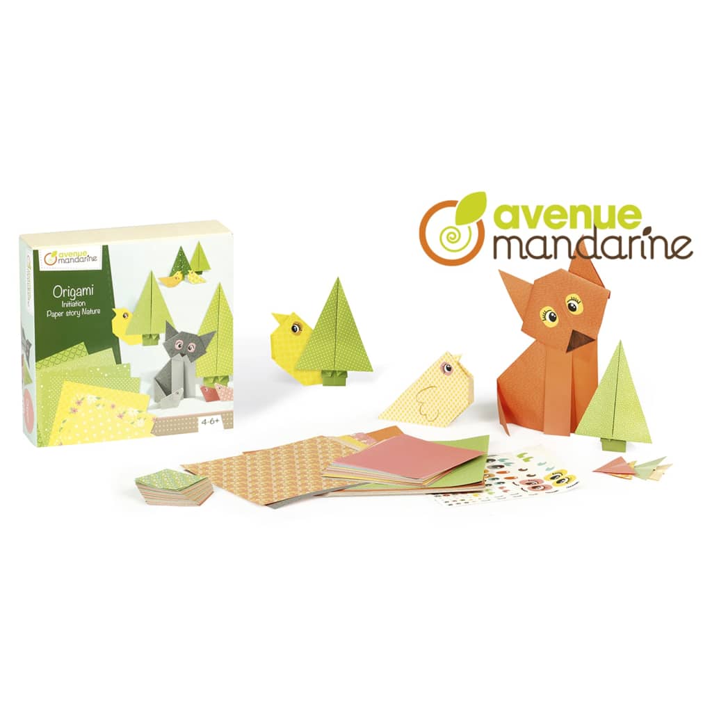 Avenue Mandarine Cofanetto Creativo Origami Initiation