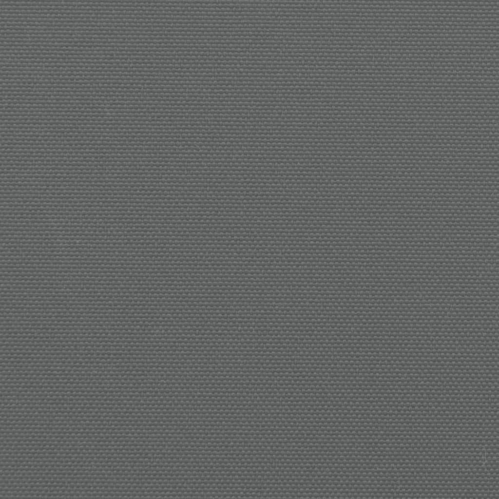 vidaXL Tenda da Sole Laterale Retrattile Antracite 200x500 cm