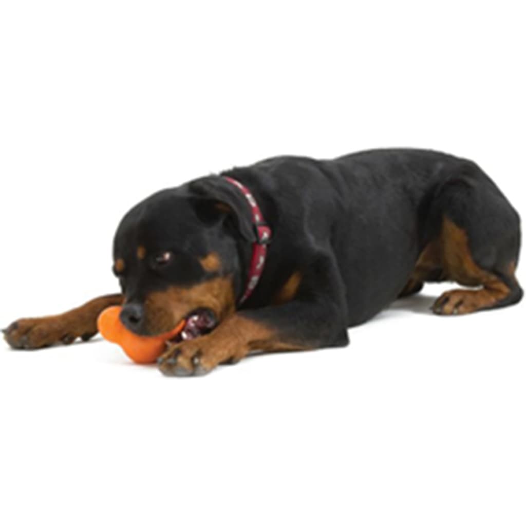 West Paw Giocattolo per Cani con Zogoflex Tux Arancione Mandarino S