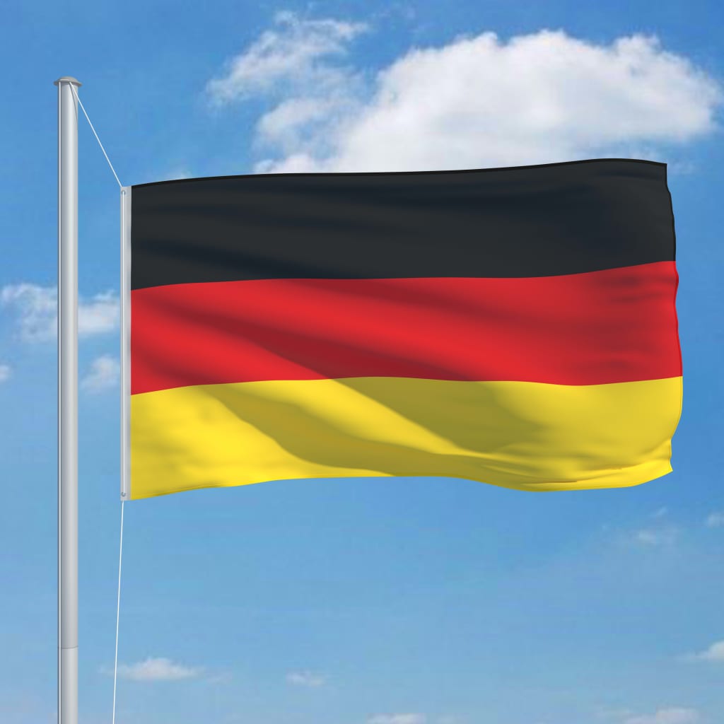vidaXL Bandiera della Germania con Pennone in Alluminio 6,2 m