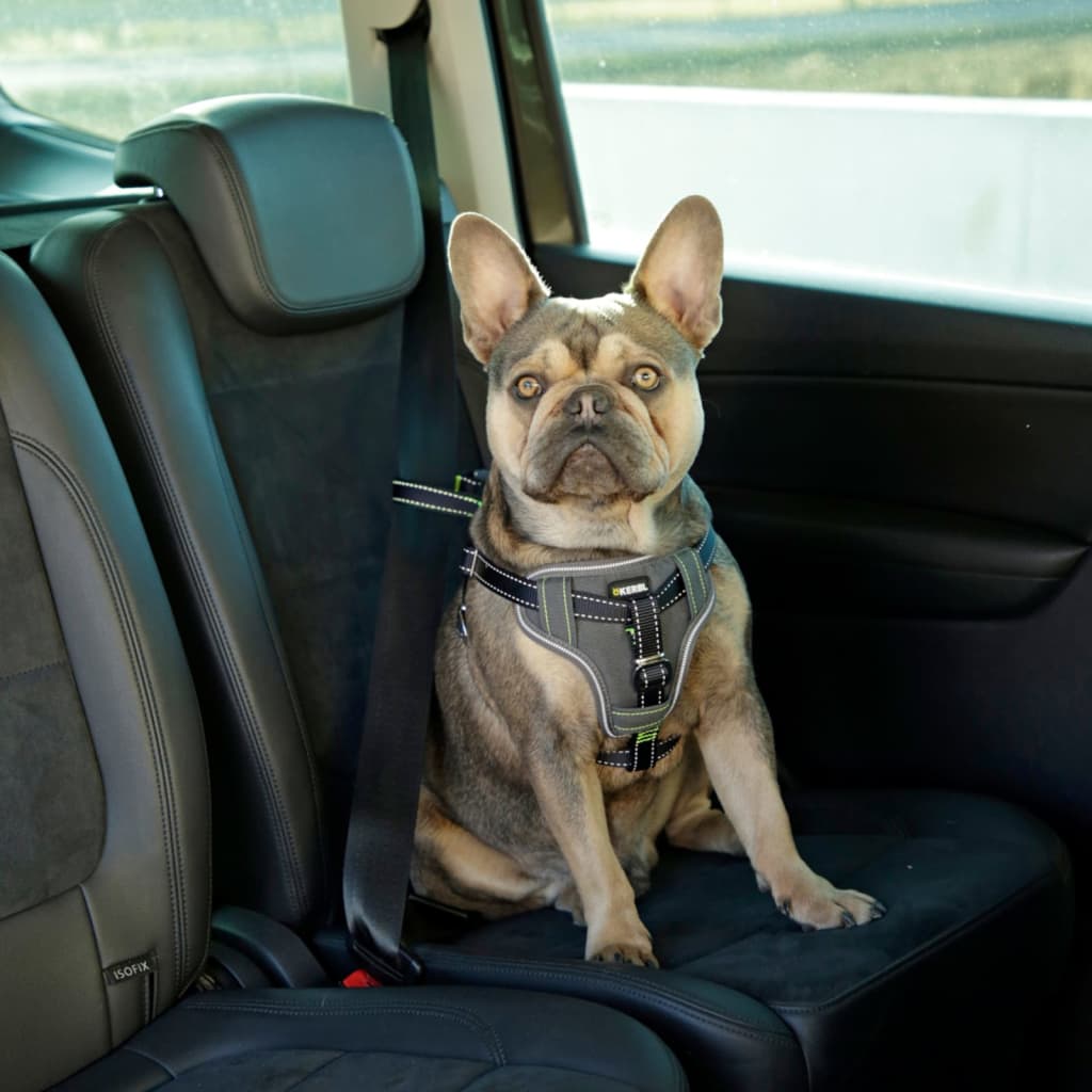 Kerbl Imbracatura di Sicurezza Auto per Animali Domestici 44-55cm Nera
