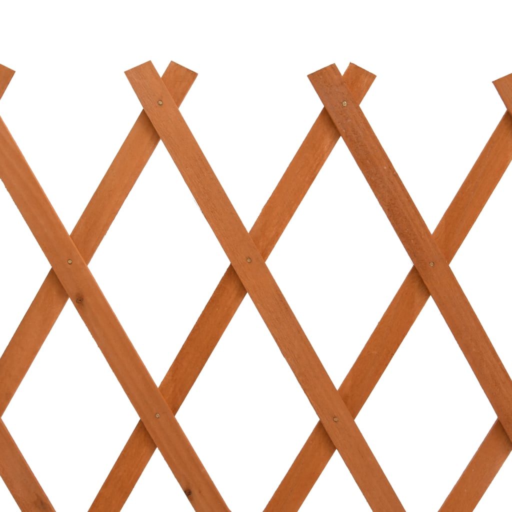 vidaXL Traliccio da Giardino Arancione 120x60 cm Massello di Abete