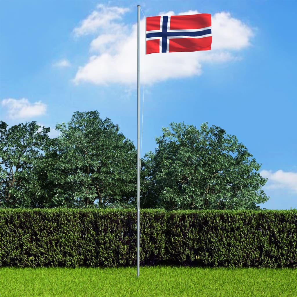 vidaXL Bandiera della Norvegia con Pennone in Alluminio 4 m