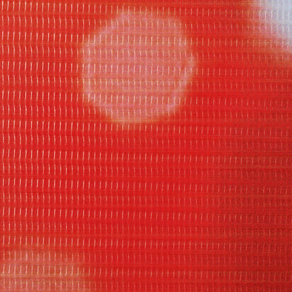 vidaXL Paravento Pieghevole 200x170 cm Stampa Rosa Rossa