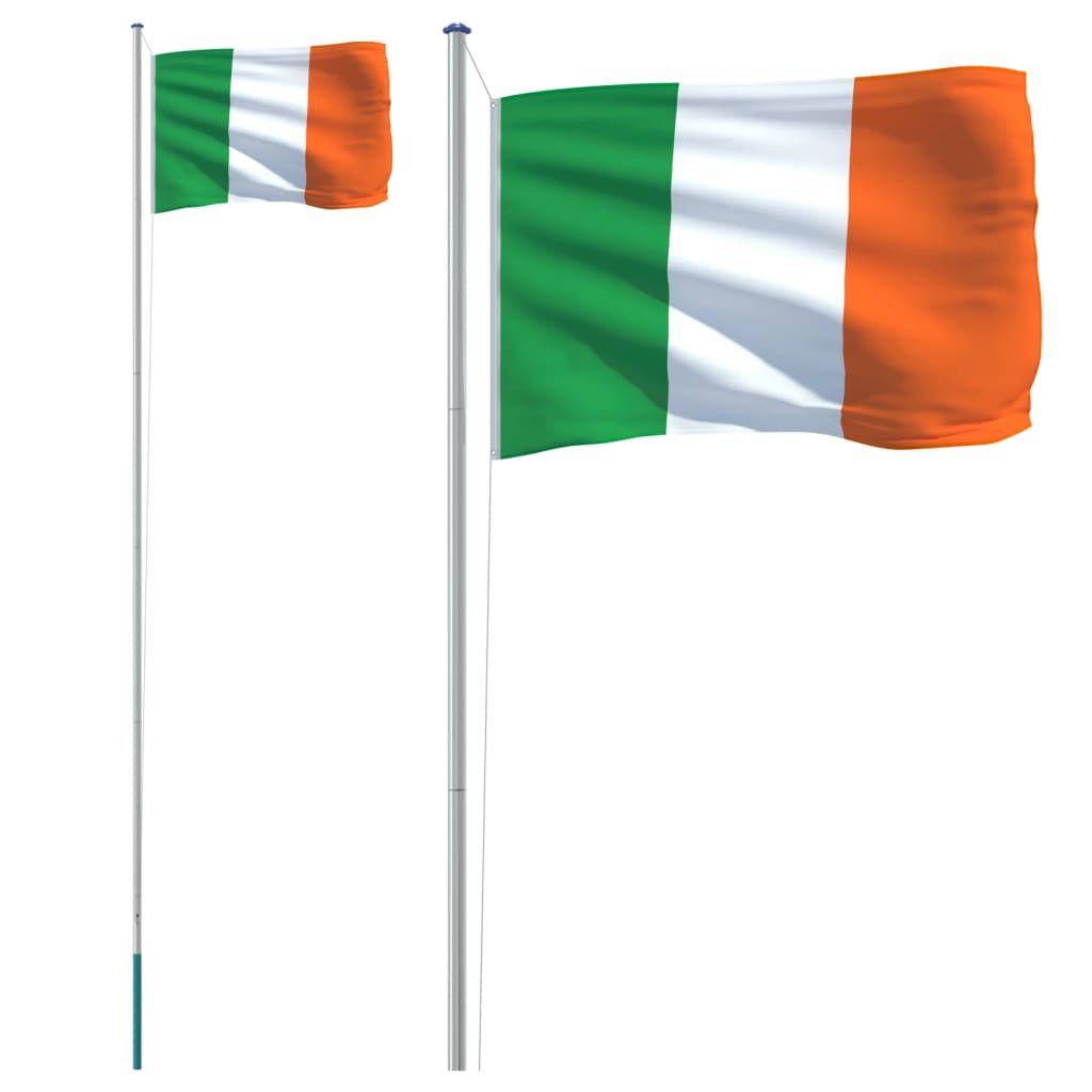 vidaXL Asta e Bandiera Irlanda 6,23 m Alluminio