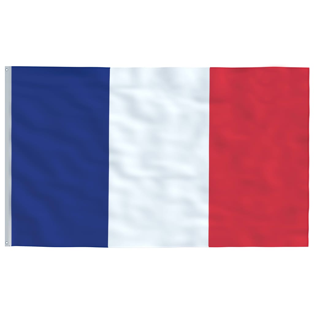 vidaXL Bandiera della Francia con Pennone in Alluminio 6 m