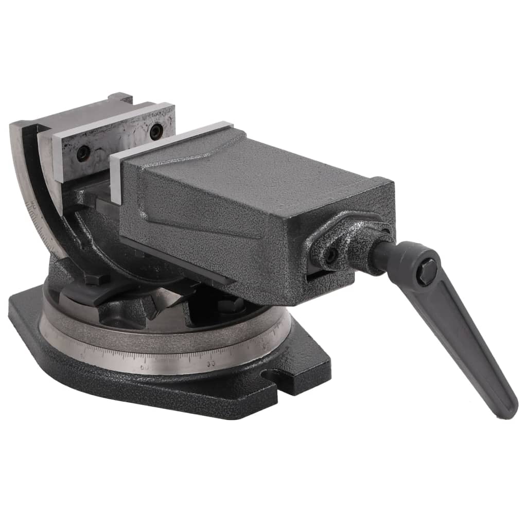 VidaXL Morsa Inclinabile A 2 Assi 160 Mm - Ghisa, Ganasce Temprate Per Foratura E Fresatura