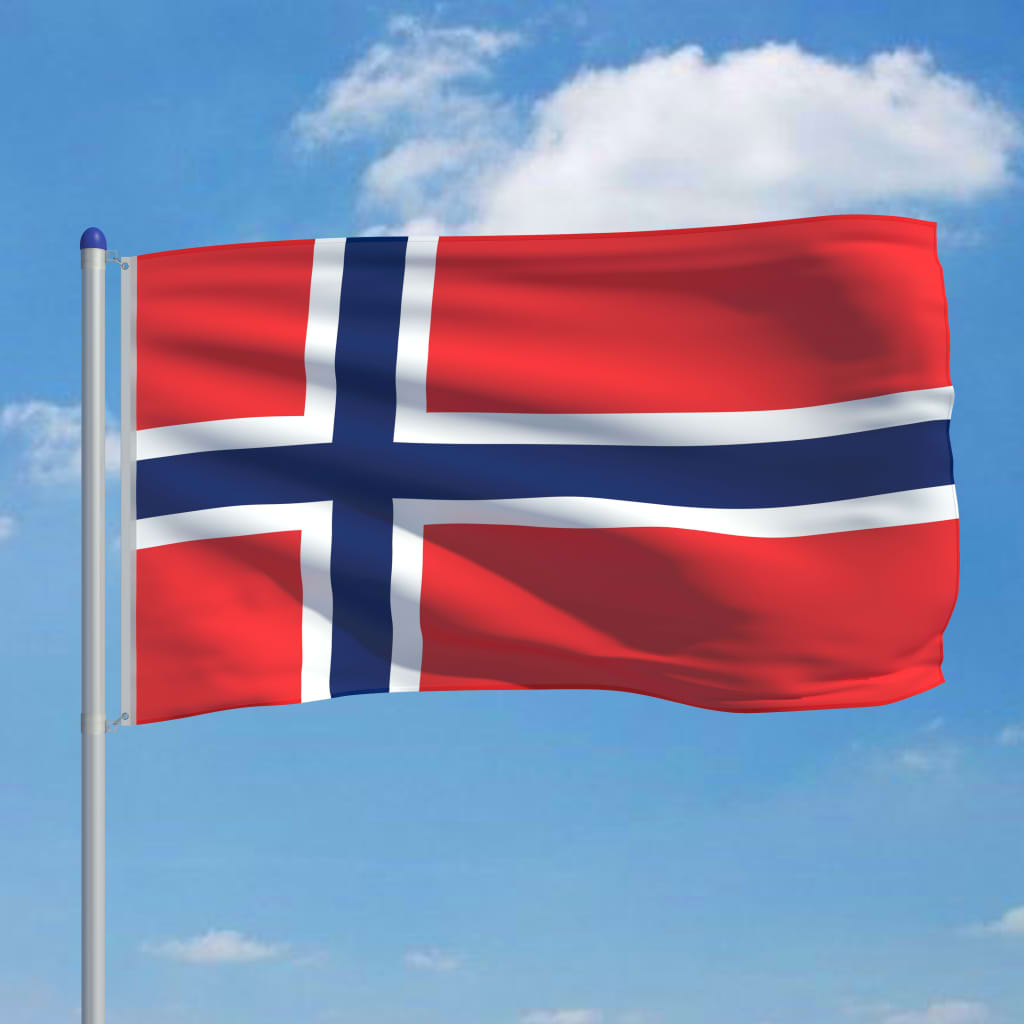 vidaXL Bandiera della Norvegia con Pennone in Alluminio 6 m