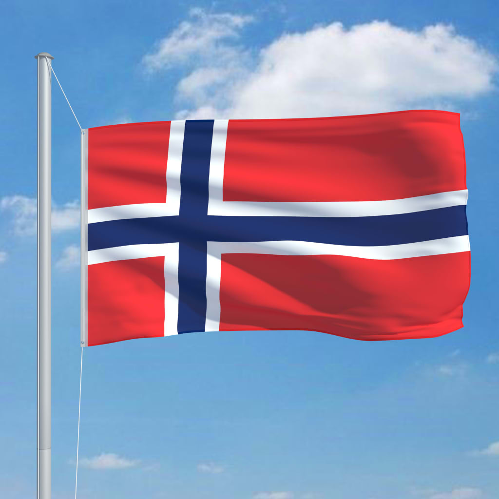 vidaXL Bandiera della Norvegia con Pennone in Alluminio 6,2 m