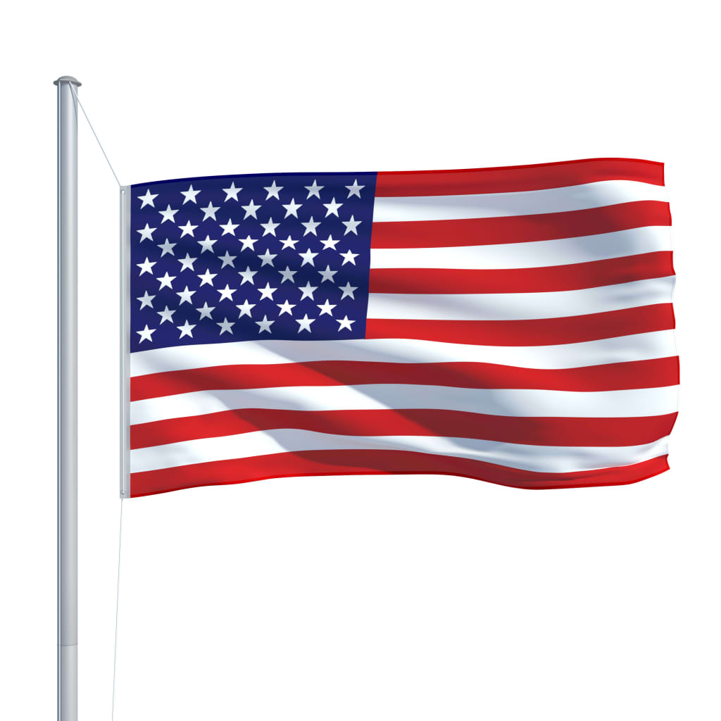 vidaXL Bandiera degli Stati Uniti 90x150 cm