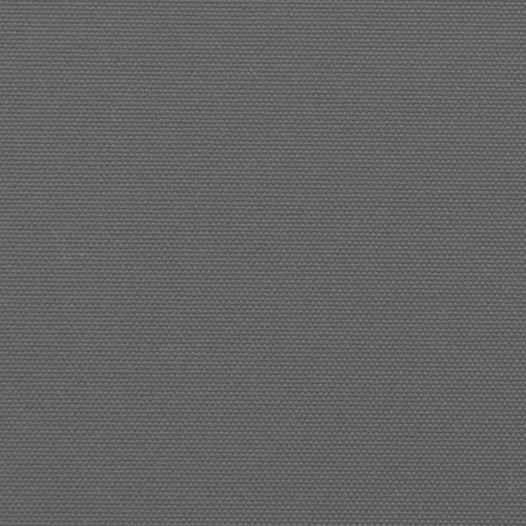 vidaXL Tenda da Sole Laterale Retrattile Antracite 200x600 cm