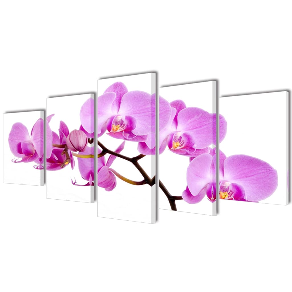 5 pz Set Stampa su Tela da Muro Orchidèa 100 x 50 cm