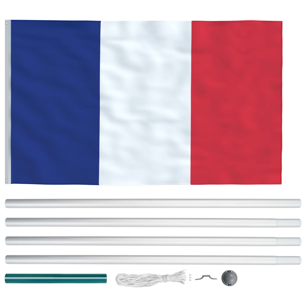 vidaXL Bandiera della Francia con Pennone in Alluminio 6,2 m