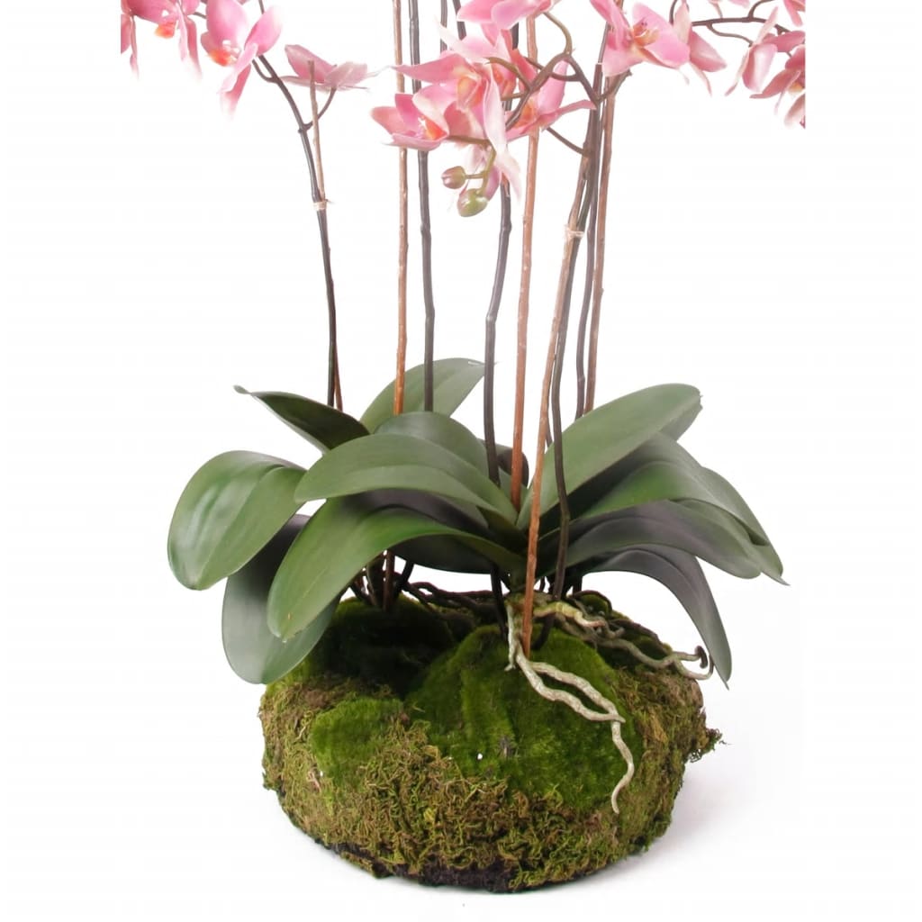 Emerald Orchidea Artificiale con Muschio Rosa 75 cm 417662