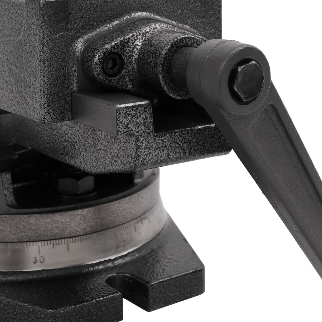Morsa Inclinabile a 2 Assi 160 mm