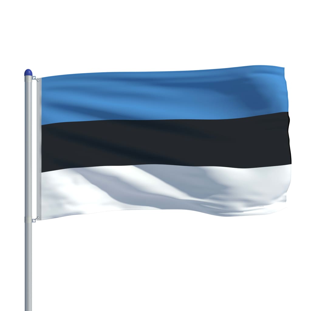 vidaXL Bandiera dell'Estonia con Pennone in Alluminio 6 m