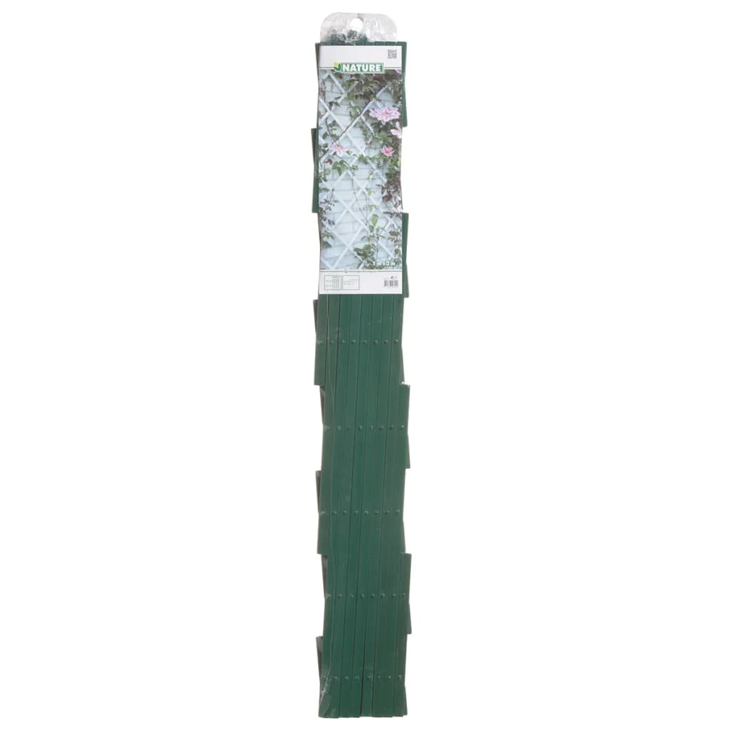 Nature Pergolato da Giardino 100x200 cm PVC Verde 6040704