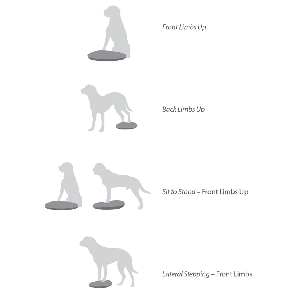 FitPAWS Disco per l'Allenamento dell'Equilibrio per Cani 36 cm Lampone