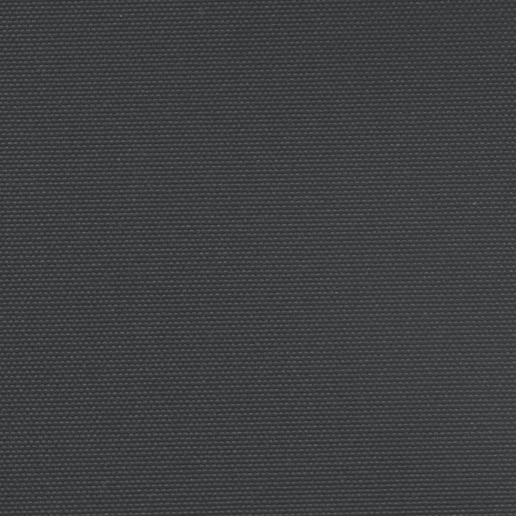 vidaXL Tenda da Sole Laterale Retrattile Nera 120x600 cm