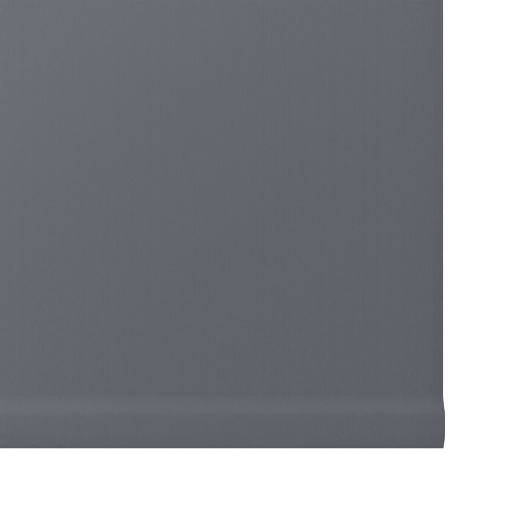 Decosol Tendina a Rullo Oscurante Antracite 52x160 cm
