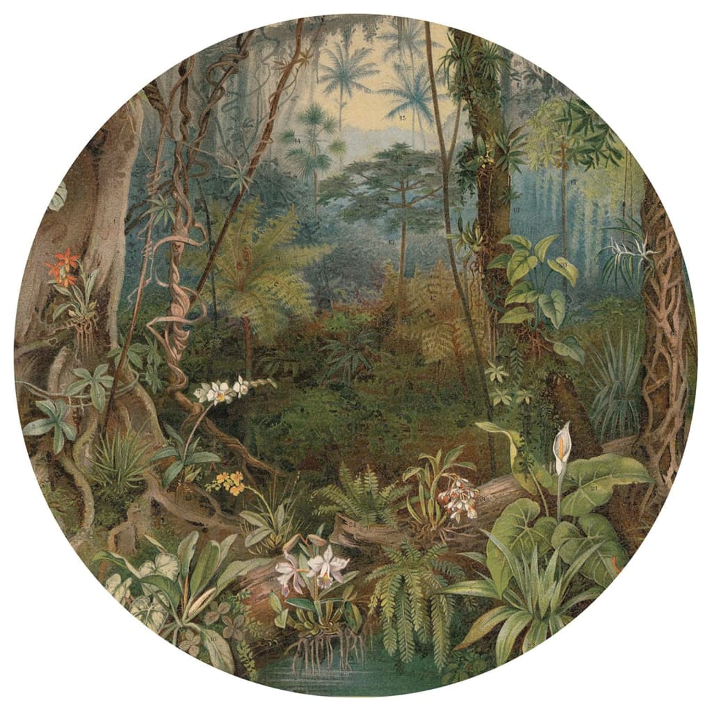 WallArt Carta da Parati Circolare In the Jungle 142,5 cm